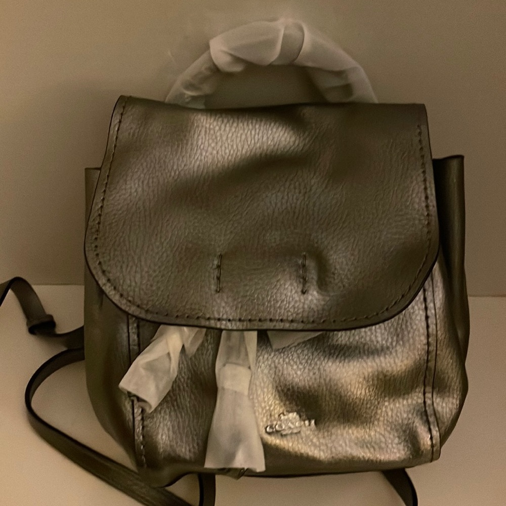 Metallic Derby backpack